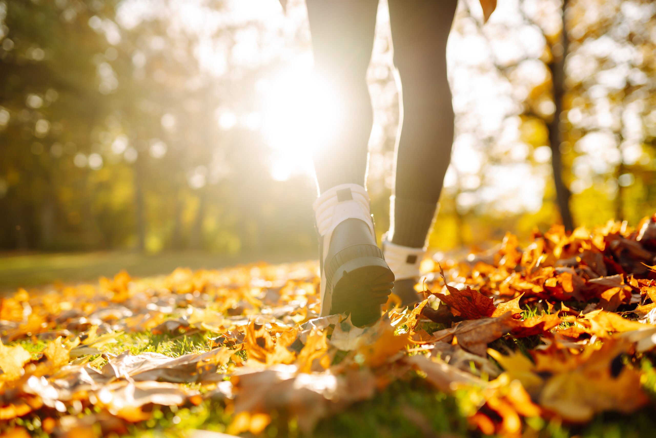 Herbstwanderungen: Raus in die klare Luft